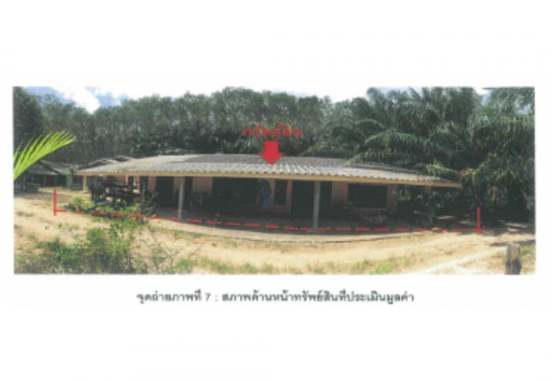 คลองพน คลองท่อม กระบี่