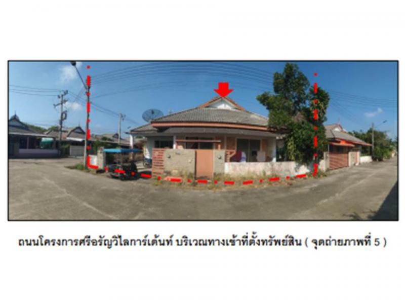 เขาพนม เขาพนม กระบี่