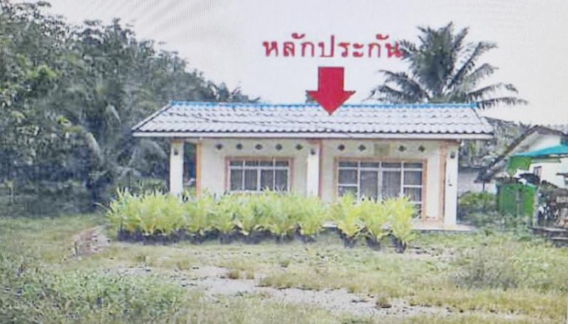 เขาดิน เขาพนม กระบี่