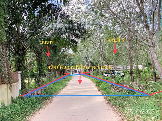 คลองพน คลองท่อม กระบี่