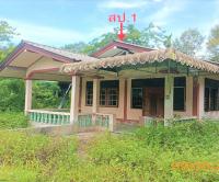 ขายบ้านเดี่ยว คลองเขม้า เหนือคลอง กระบี่ ขนาด 0-3-72.00 ของ ธนาคารกสิกรไทย